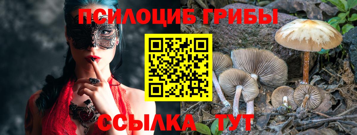 Псилоцибиновые грибы Cubensis  Вход с VPN  Смоленск 