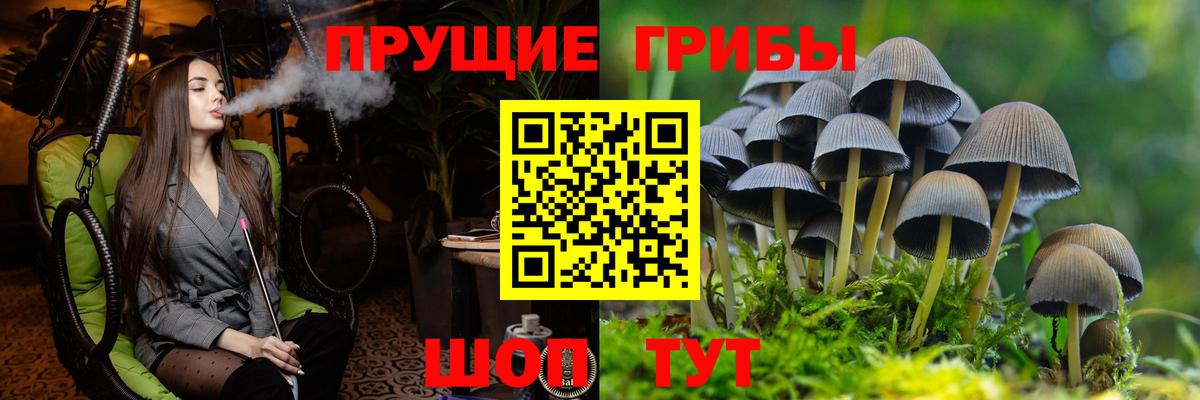Галлюциногенные грибы Cubensis Смоленск